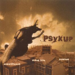 Album cover of Acoustiques, remixes et videoclip live