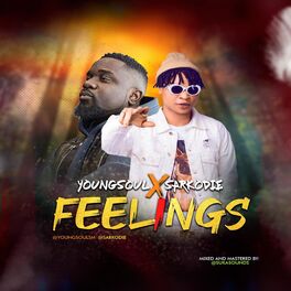 Album cover of Feelings (feat. Sarkodie)