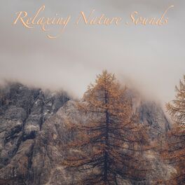 Album cover of Relaxing Nature Sounds