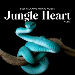 Album cover of Best Relaxing Animal Noises: Jungle Heart Music