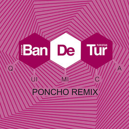 Album cover of Química (Poncho Remix) - Single