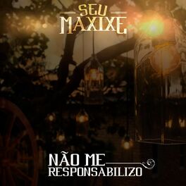Album cover of Não Me Responsabilizo