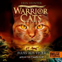 Album cover of Warrior Cats - Vision von Schatten. Fluss aus Feuer (VI, Band 5)