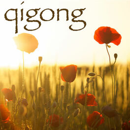 Album cover of Qigong - Chi Gong Oriental Music with Relaxing Nature Sounds