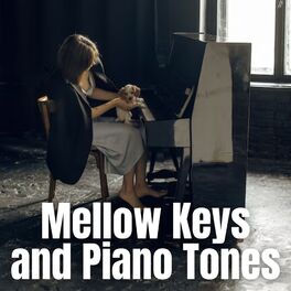 Album cover of Mellow Keys and Piano Tones