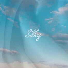 Album cover of Silky