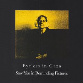 Eyeless In Gaza - Picture the Day (A Career Retrospective 1981