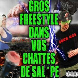 Album cover of Gros freestyle dans vos chattes de salope