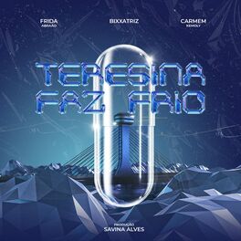 Album cover of Teresina Faz Frio