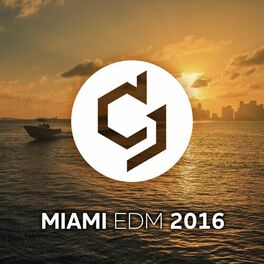 Album cover of Miami EDM 2016