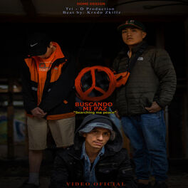 Album cover of Buscando mi Paz
