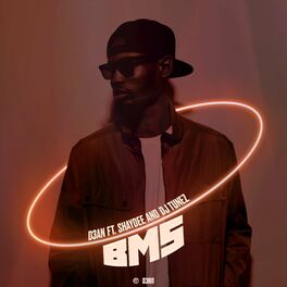 Album cover of BMS