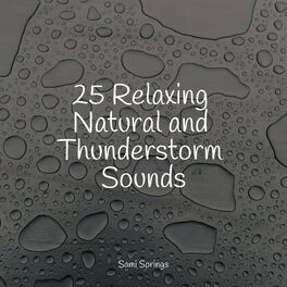 Album cover of 25 Meditation and Heavy Rainfall
