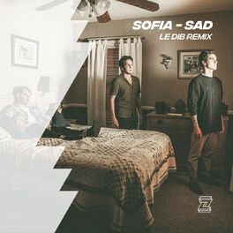 Album cover of Sad (Le Dib Remix)