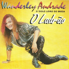 Album cover of O Ladrão - o Ídolo Loiro do Brega