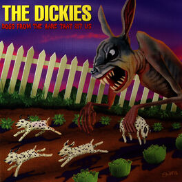 Album cover of Dogs From The Hare That Bit Us
