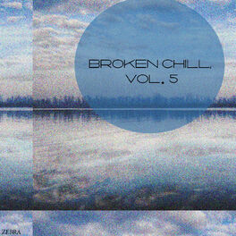 Album cover of Broken Chill, Vol. 5