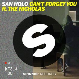 Album cover of Can't Forget You (feat. The Nicholas)