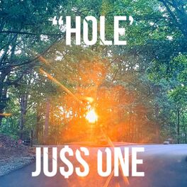 Album cover of Hole