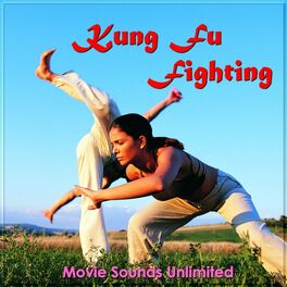 kung fu fighter album kung fu fighter album