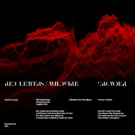 Album cover of Red Letters / Wildfire