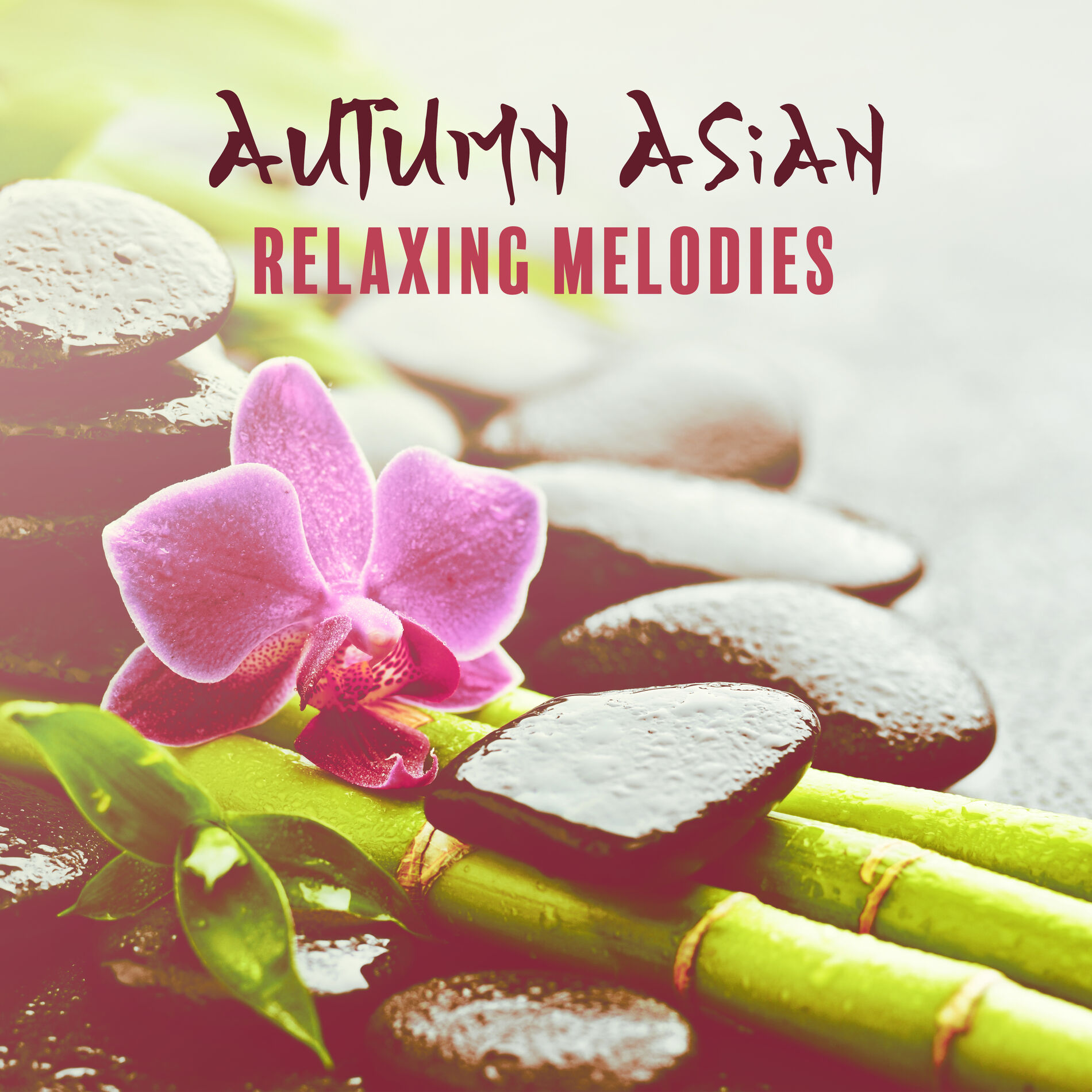 Chinese Relaxation and Meditation: albums, songs, playlists | Listen on  Deezer