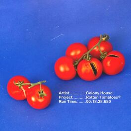 Album cover of Rotten Tomatoes