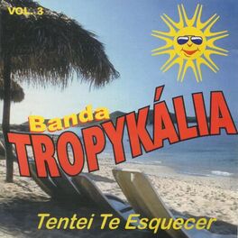 Album cover of Tentei Te Esquecer, Vol. 3