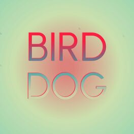 Album cover of Bird Dog