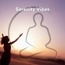 Album cover of Serenity Vibes