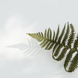 Album cover of 50 Tracks to Easy Listen Study