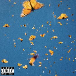 Album cover of Butterflies