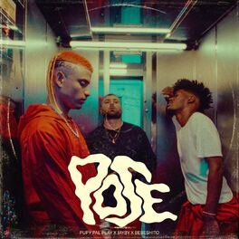Album cover of Pose