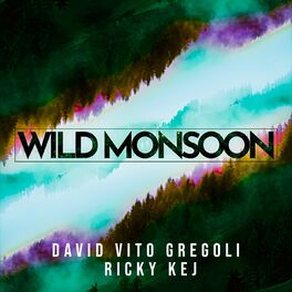 Album cover of Wild Monsoon