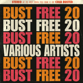 Album cover of Bust Free 20