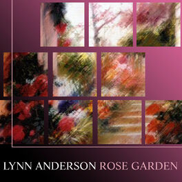Album cover of Rose Garden
