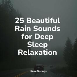Album cover of 25 Beautiful Rain Sounds for Deep Sleep Relaxation