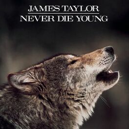 Album cover of Never Die Young