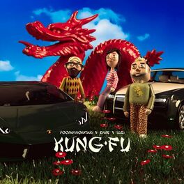 Album cover of Kung Fu (feat. Emre Şakar & Suzi)