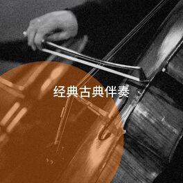 Album cover of 经典古典伴奏