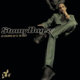 Album cover of Le calibre qu'il te faut