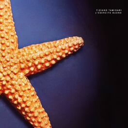 Album picture of L'esercito buono