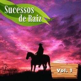 Album cover of Sucessos de Raiz Vol. 1
