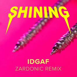 Album cover of IDGAF (Zardonic Remix)
