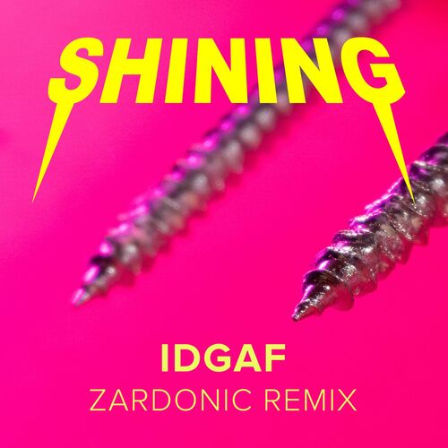 Download Shining - IDGAF (Zardonic Remix) mp3