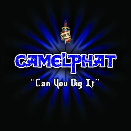 Album cover of Can You Dig It
