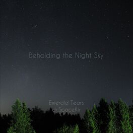 Album cover of Beholding the Night Sky