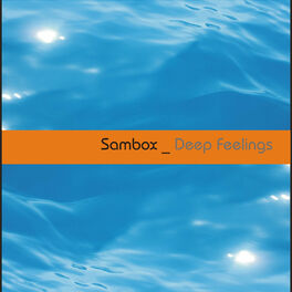 Album cover of Deep Feelings