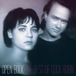 Album cover of Open Book - The Best Of...