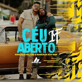 Album cover of Céu Aberto